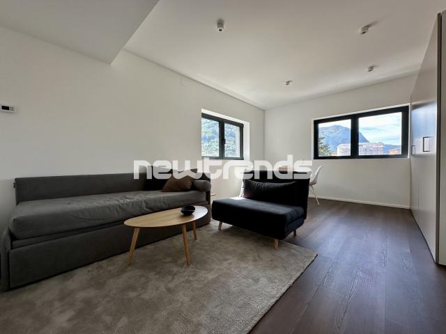 Rent a 2 ½ rooms apartment in Viganello Flatfox