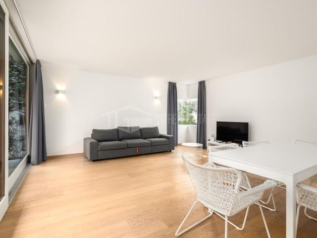 Rent a 2 ½ rooms apartment in Viganello Flatfox