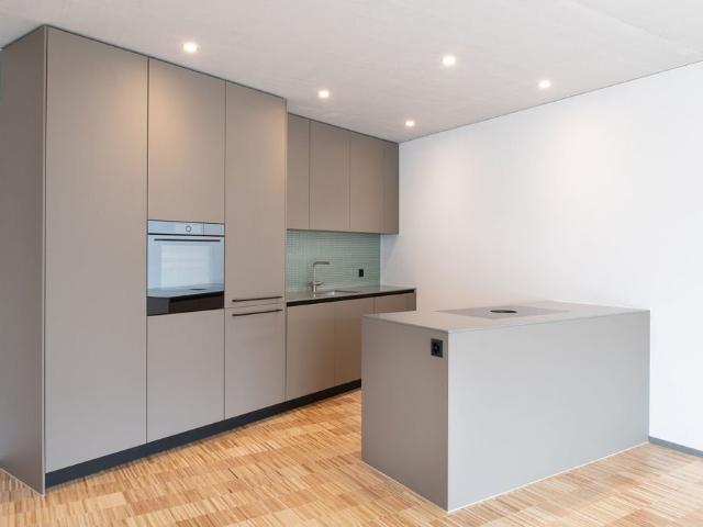 Rent a 2 ½ rooms apartment in Zuchwil Flatfox