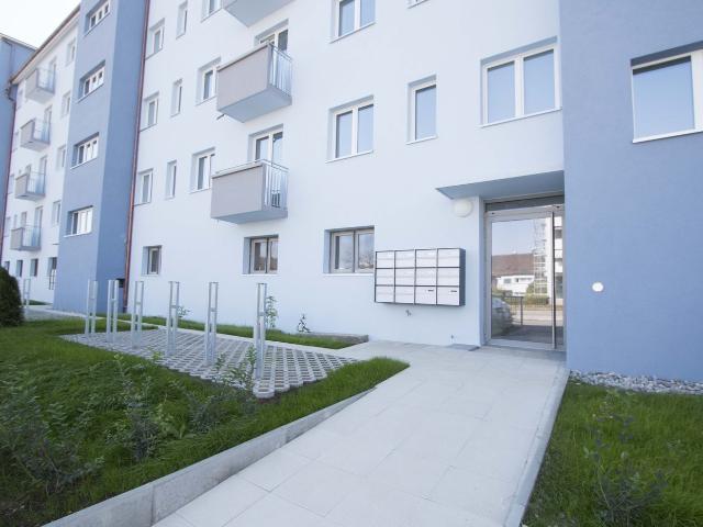 Rent a 2 rooms apartment in Zürich Flatfox
