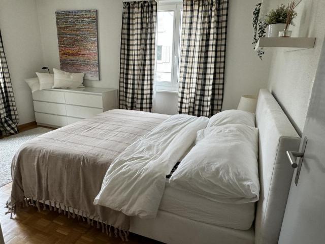 Rent a 2 ½ rooms apartment in Zürich Flatfox