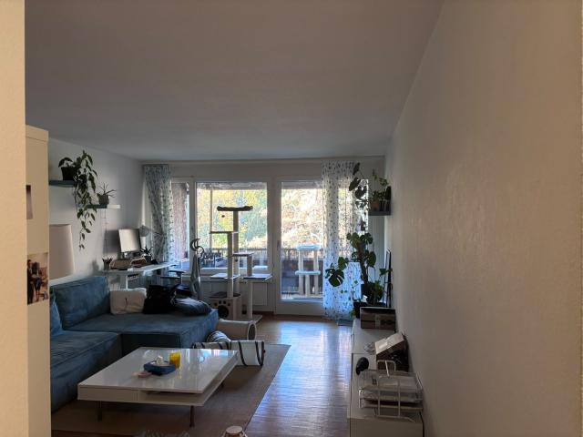 Rent a 2 ½ rooms apartment in Zürich Flatfox