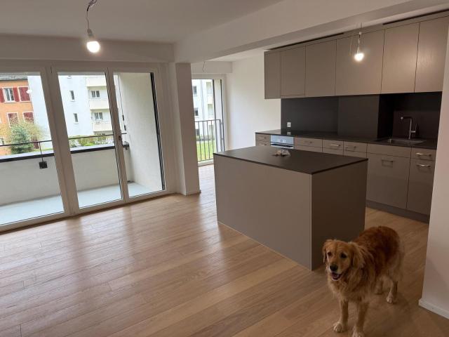 Rent a 2 ½ rooms apartment in Zürich Flatfox