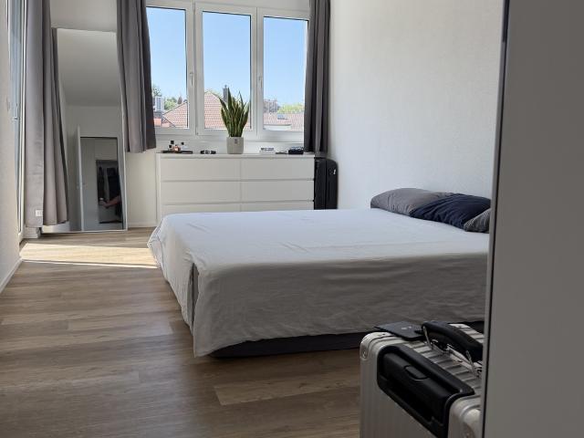 Rent a 2 ½ rooms apartment in Zurich Flatfox