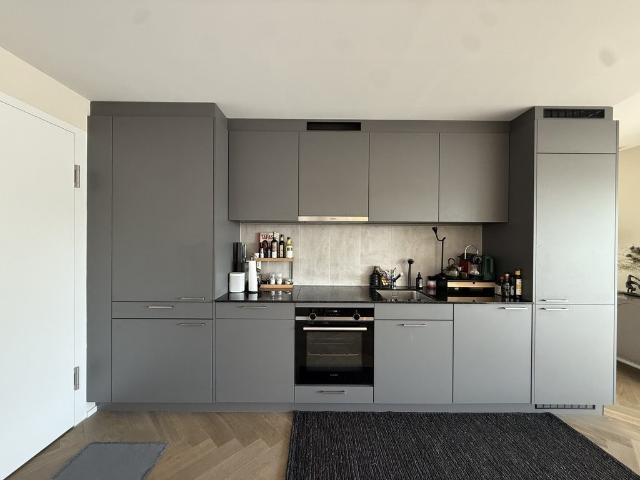 Rent a 2 ½ rooms apartment in Zürich Flatfox