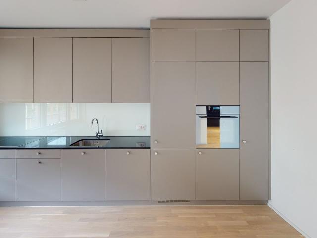 Rent a 2 ½ rooms apartment in Zürich Flatfox
