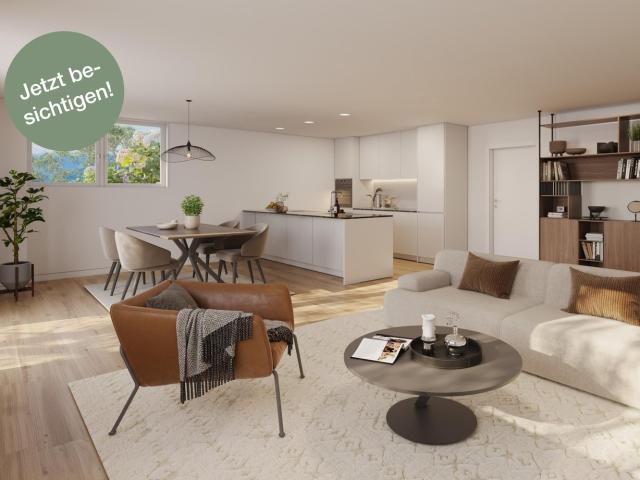 Rent a 2 ½ rooms apartment in Zürich Flatfox