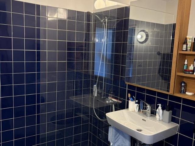 Rent a 2 ½ rooms apartment in Zürich Flatfox