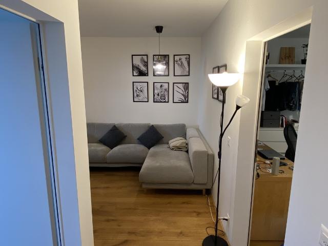 Rent a 2 ½ rooms apartment in Zürich Flatfox