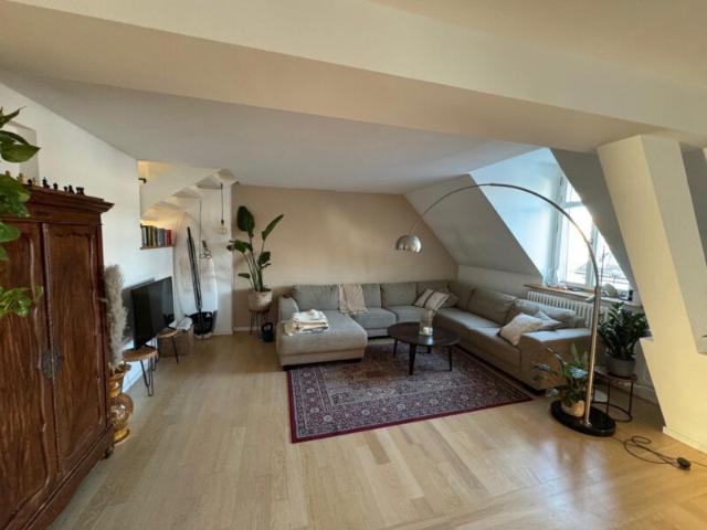 Rent a 2 ½ rooms apartment in Zürich Flatfox