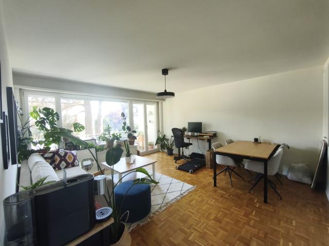 Rent a 2 ½ rooms apartment in Zürich Flatfox