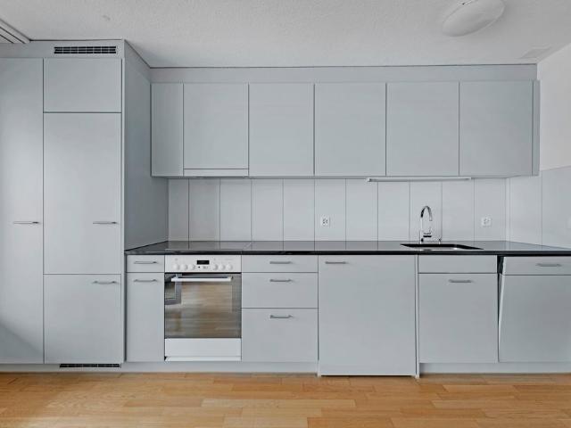 Rent a 2 ½ rooms apartment in Zürich Flatfox