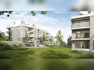 Rent a 2 ½ rooms apartment in Zürich Flatfox