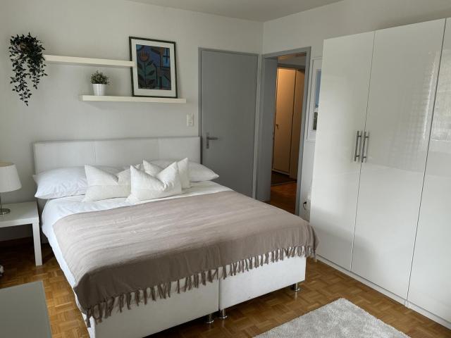 Rent a 2 ½ rooms apartment in Zürich Flatfox