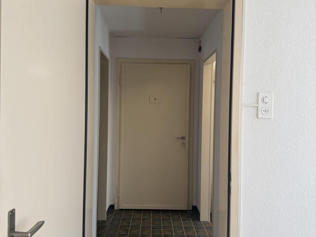 Rent a 2 rooms apartment in Zürich Flatfox