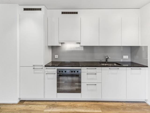 Rent a 2 ½ rooms apartment in Zürich Flatfox