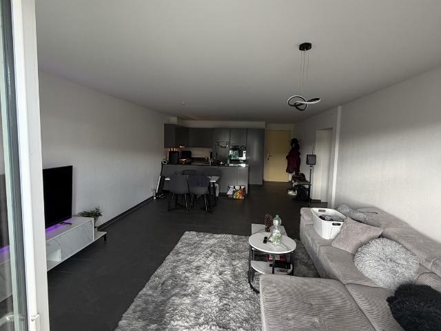 Rent a 2 ½ rooms apartment in Zweidlen Flatfox