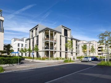 Rent a 2 ½ rooms attic flat in Bern Flatfox