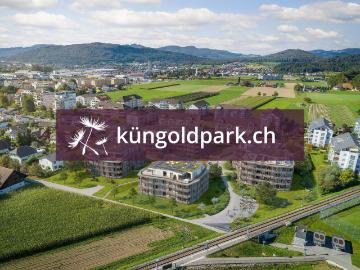 Rent a 2 ½ rooms attic flat in Küngoldingen Flatfox