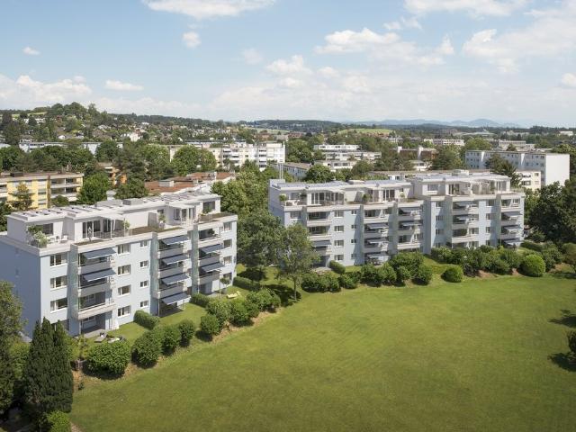 Rent a 2 ½ rooms attic flat in Volketswil Flatfox