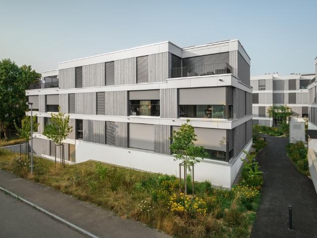 Rent a 2 ½ rooms attic flat in Winkel Flatfox