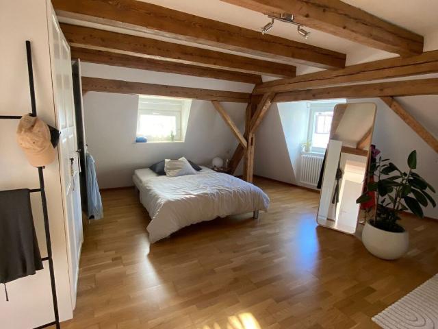 Rent a 2 rooms duplex in Altstätten SG Flatfox