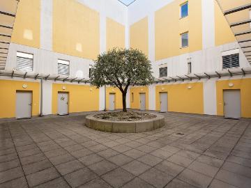Rent a 2 ½ rooms duplex in Locarno Flatfox