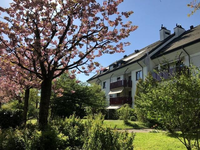 Rent a 2 ½ rooms duplex in Riehen Flatfox