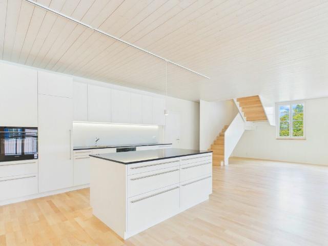 Rent a 2 rooms duplex in Thalwil Flatfox