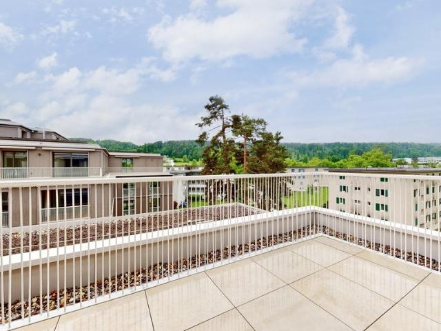 Rent a 2 rooms duplex in Zürich Flatfox
