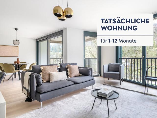 Rent a 2 rooms furnished flat in Zürich Flatfox