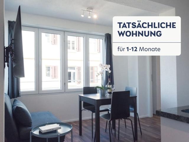 Rent a 2 ½ rooms furnished flat in Zürich Flatfox