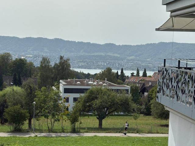 Rent a 2 ½ rooms furnished flat in Zürich Flatfox
