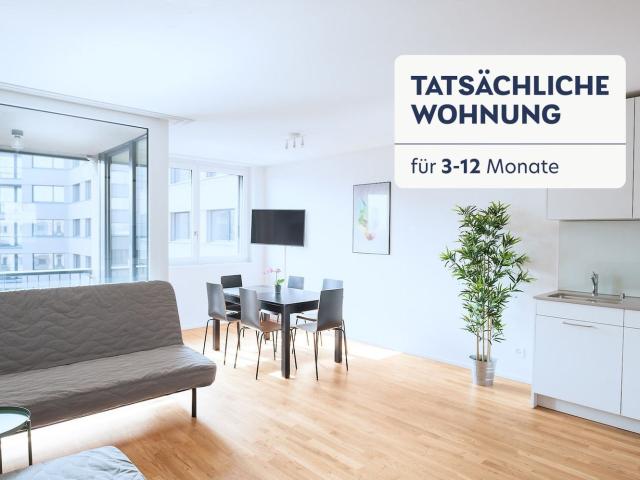 Rent a 2 rooms furnished flat in Basel Flatfox
