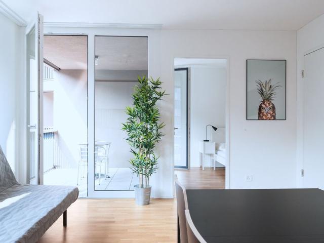 Rent a 2 rooms furnished flat in Basel Flatfox