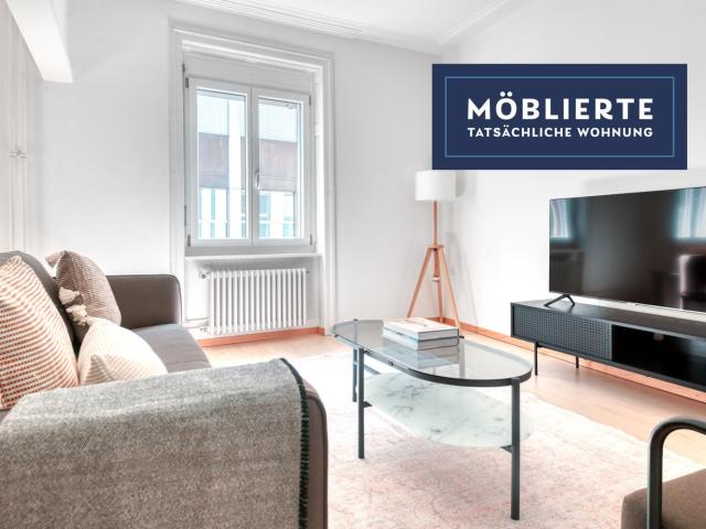 Rent a 2 ½ rooms furnished flat in Basel Flatfox