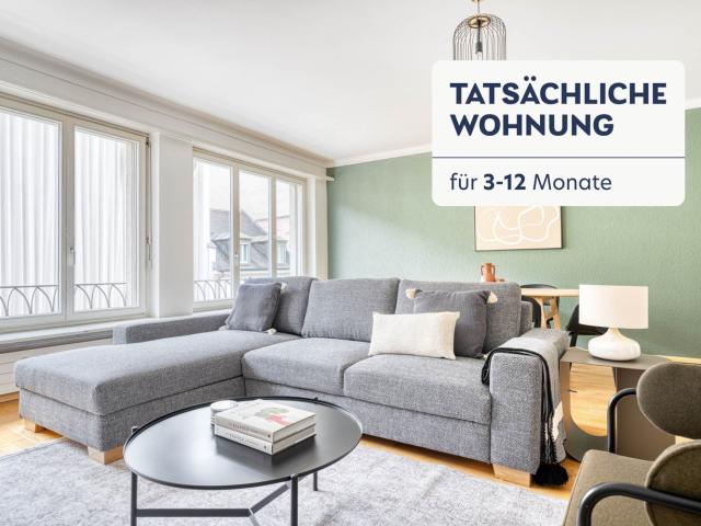 Rent a 2 ½ rooms furnished flat in Basel Flatfox