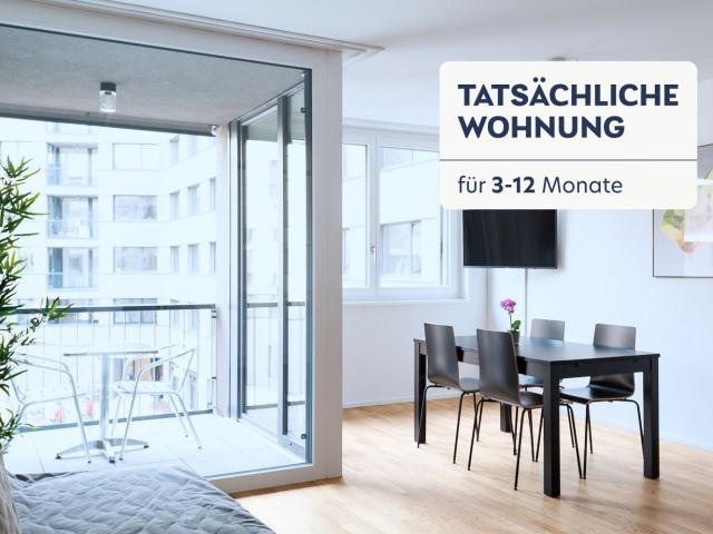 Rent a 2 rooms furnished flat in Basel Flatfox