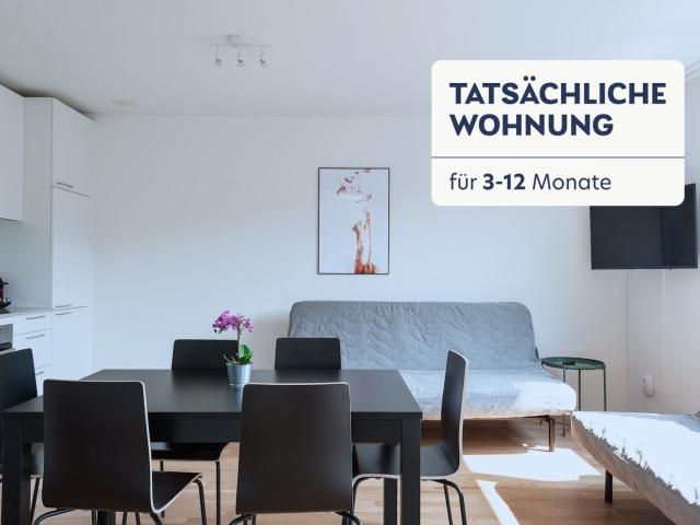 Rent a 2 rooms furnished flat in Basel Flatfox