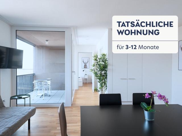 Rent a 2 rooms furnished flat in Basel Flatfox