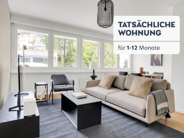 Rent a 2 ½ rooms furnished flat in Basel Flatfox