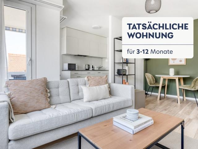 Rent a 2 rooms furnished flat in Basel Flatfox
