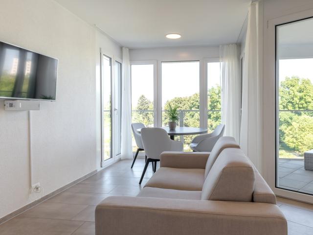 Rent a 2 ½ rooms furnished flat in Basel Flatfox