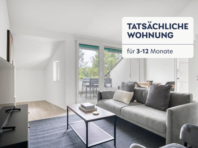 Rent a 2 ½ rooms furnished flat in Basel Flatfox
