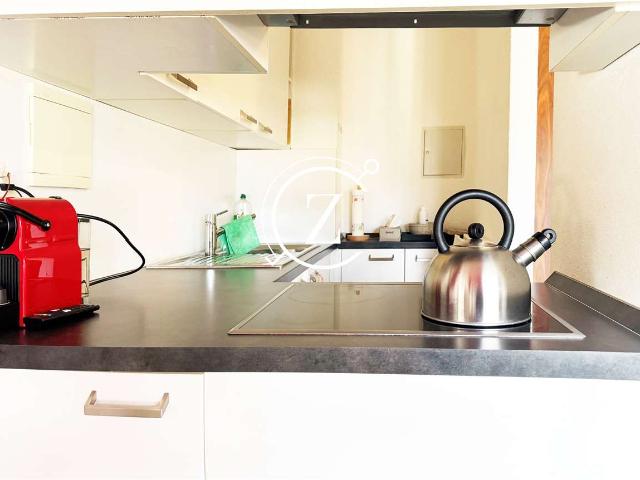 Rent a 2 rooms furnished flat in Lugano Flatfox