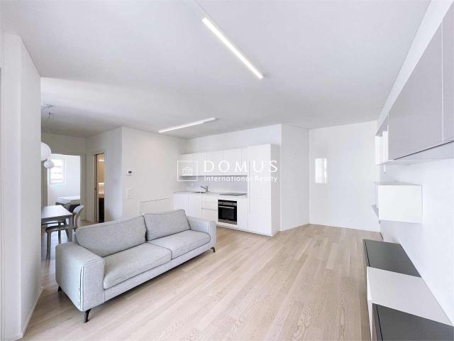 Rent a 2 ½ rooms furnished flat in Lugano Flatfox