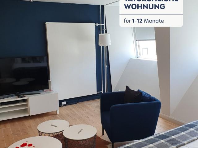 Rent a 2 rooms furnished flat in Luzern Flatfox