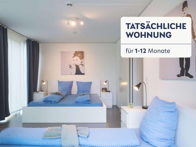 Rent a 2 rooms furnished flat in Luzern Flatfox