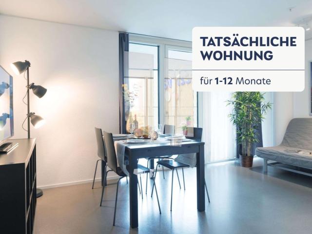 Rent a 2 rooms furnished flat in Luzern Flatfox