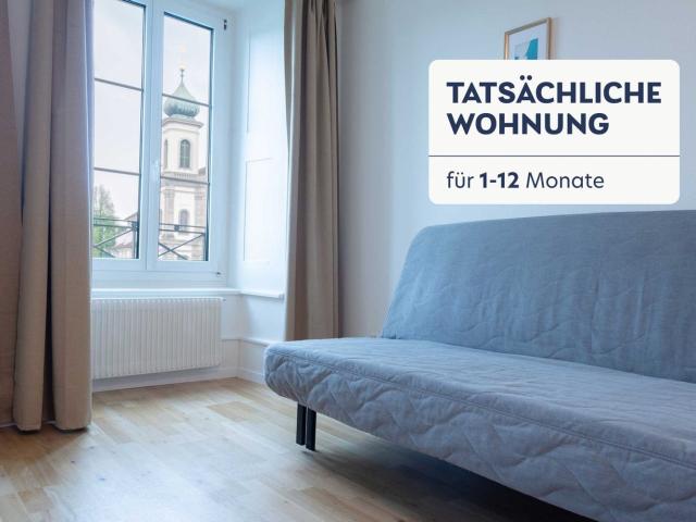 Rent a 2 rooms furnished flat in Luzern Flatfox
